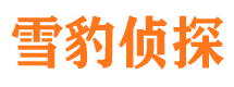 萨尔图外遇出轨调查取证